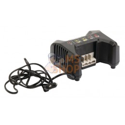 Chargeur batterie Combi 40AE | CASTELGARDEN Chargeur batterie Combi 40AE | CASTELGARDENPR#160046