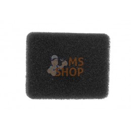 Filtre à air | KAWASAKI Filtre à air | KAWASAKIPR#165408