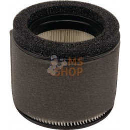 Filtre à air/préfiltre Kawasaki | KAWASAKI Filtre à air/préfiltre Kawasaki | KAWASAKIPR#333956