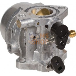 Carburateur | KAWASAKI Carburateur | KAWASAKIPR#334149