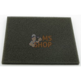 Pré filtre pour 11013 2154 | KAWASAKI Pré filtre pour 11013 2154 | KAWASAKIPR#164907