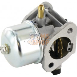 Carburateur | KAWASAKI Carburateur | KAWASAKIPR#165224