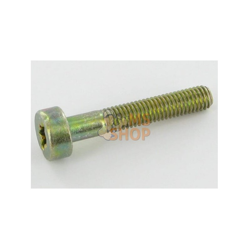 Vis Torx5x30 | SOLO Vis Torx5x30 | SOLOPR#917804