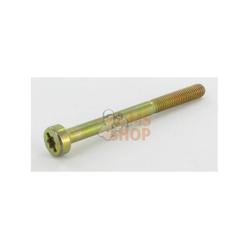 Vis Torx 5x60 | SOLO Vis Torx 5x60 | SOLOPR#917802