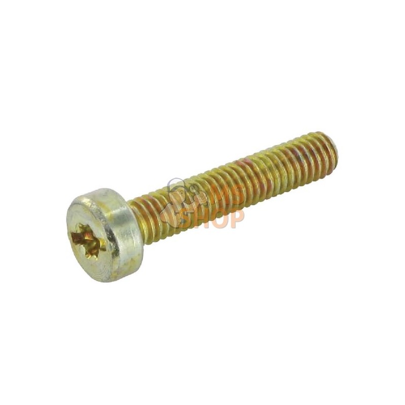 Vis Torx M6X30KXRI.T25 | SOLO Vis Torx M6X30KXRI.T25 | SOLOPR#917811