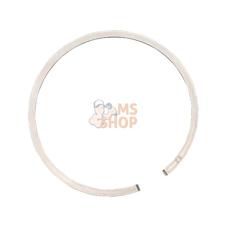 Segment | SOLO Segment | SOLOPR#581348