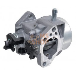 Carburateur | STIGA Carburateur | STIGAPR#323910