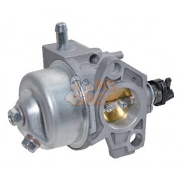 Carburateur | STIGA Carburateur | STIGAPR#323910