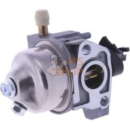 Carburateur | STIGA Carburateur | STIGAPR#865212