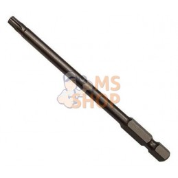Tournevis, Torx t-25 | BRIGGS & STRATTON Tournevis, Torx t-25 | BRIGGS & STRATTONPR#1123328
