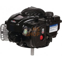 Moteur vertical, 3,9 HP, monocylindre, série 500, Briggs & Stratton | BRIGGS & STRATTON Moteur vertical, 3,9 HP, monocylindre, s