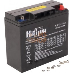 Batterie 12 V 18 Ah | BRIGGS & STRATTON Batterie 12 V 18 Ah | BRIGGS & STRATTONPR#405248
