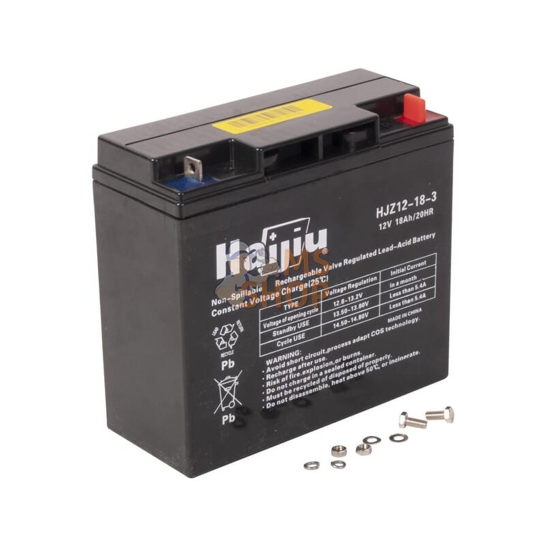 Batterie 12 V 18 Ah | BRIGGS & STRATTON Batterie 12 V 18 Ah | BRIGGS & STRATTONPR#405248 Batterie 12 V 18 Ah | BRIGGS & STRATTON Batterie 12 V 18 Ah | BRIGGS & STRATTONPR#405248
