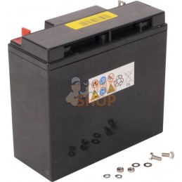 Batterie 12 V 18 Ah | BRIGGS & STRATTON Batterie 12 V 18 Ah | BRIGGS & STRATTONPR#405248