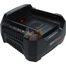 Chargeur batterie 220 V B&S | BRIGGS & STRATTON Chargeur batterie 220 V B&S | BRIGGS & STRATTONPR#405140