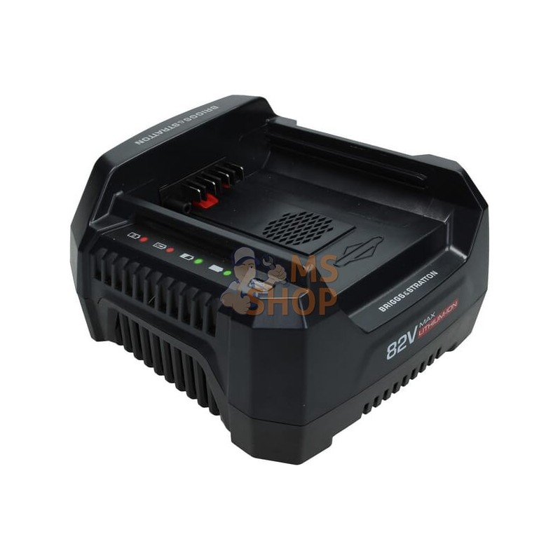 Chargeur batterie 220 V B&S | BRIGGS & STRATTON Chargeur batterie 220 V B&S | BRIGGS & STRATTONPR#405140 Chargeur batterie 220 V B&S | BRIGGS & STRATTON Chargeur batterie 220 V B&S | BRIGGS & STRATTONPR#405140