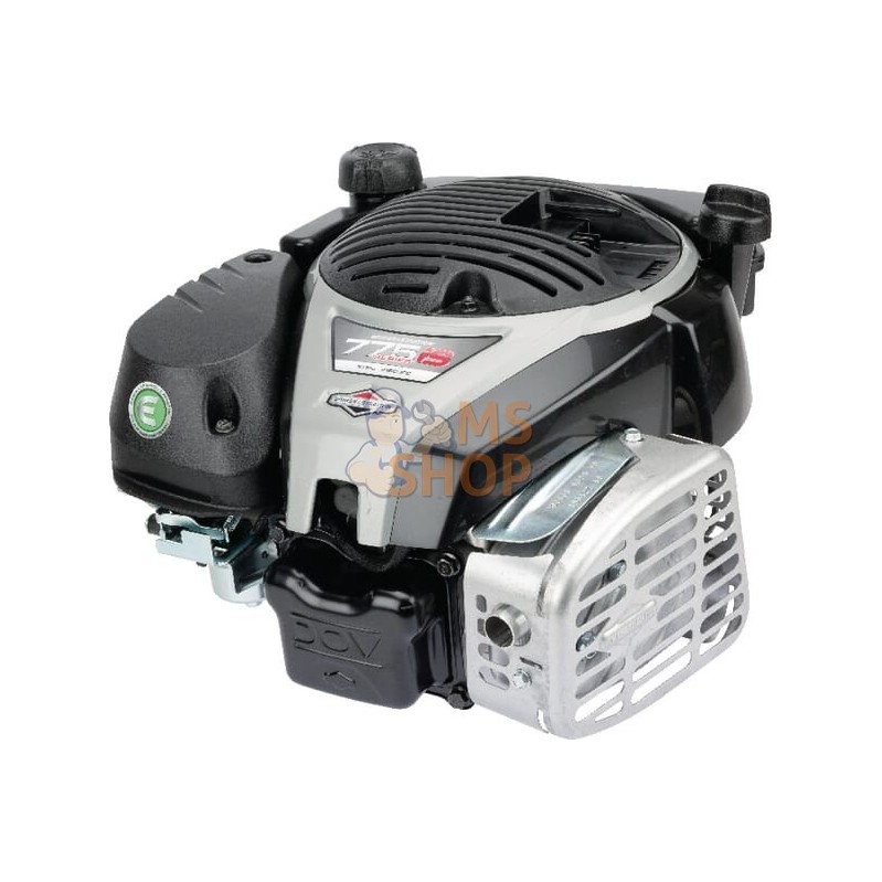 Moteur vertical, 5,0 HP, monocylindre, série 775 EX iS, Briggs & Stratton | BRIGGS & STRATTON Moteur vertical, 5,0 HP, monocylin