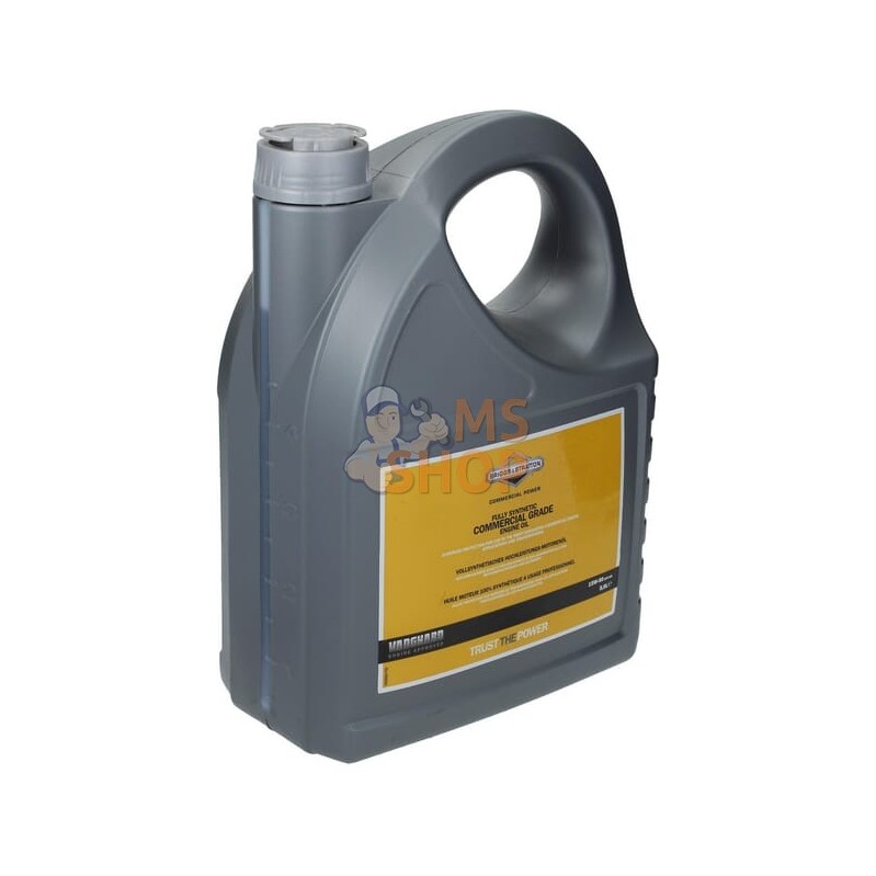 Huile moteur 15W50 entièrement synthétique 5L Briggs & Stratton | BRIGGS & STRATTON Huile moteur 15W50 entièrement synthétique 5