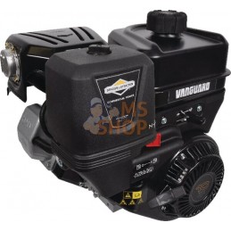 Moteur complet 8.9ch 1"x93mm Briggs & Stratton | BRIGGS & STRATTON Moteur complet 8.9ch 1"x93mm Briggs & Stratton | BRIGGS & STR