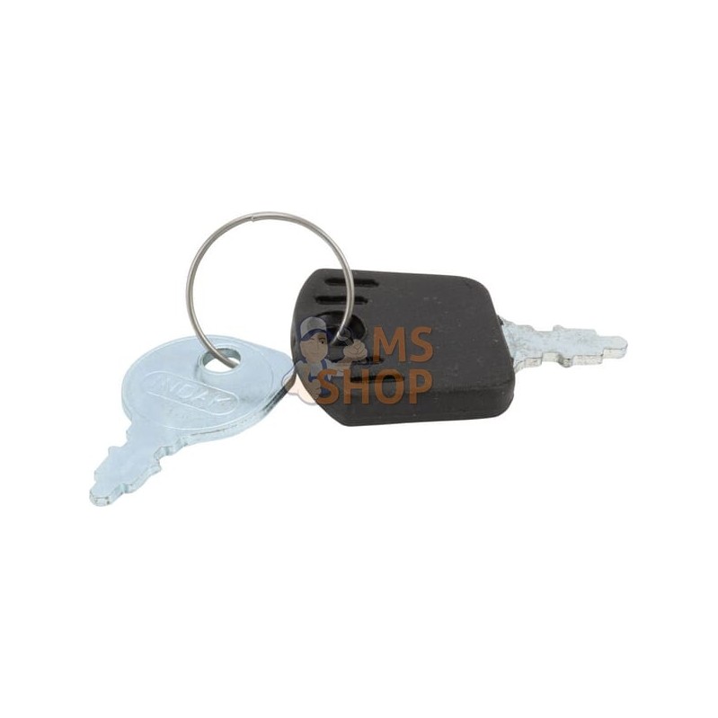 Cle de contact indak | BRIGGS & STRATTON Cle de contact indak | BRIGGS & STRATTONPR#333858