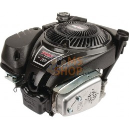 Moteur vertical, 5,0 HP, monocylindre, série 750 EX, Briggs & Stratton | BRIGGS & STRATTON Moteur vertical, 5,0 HP, monocylindre