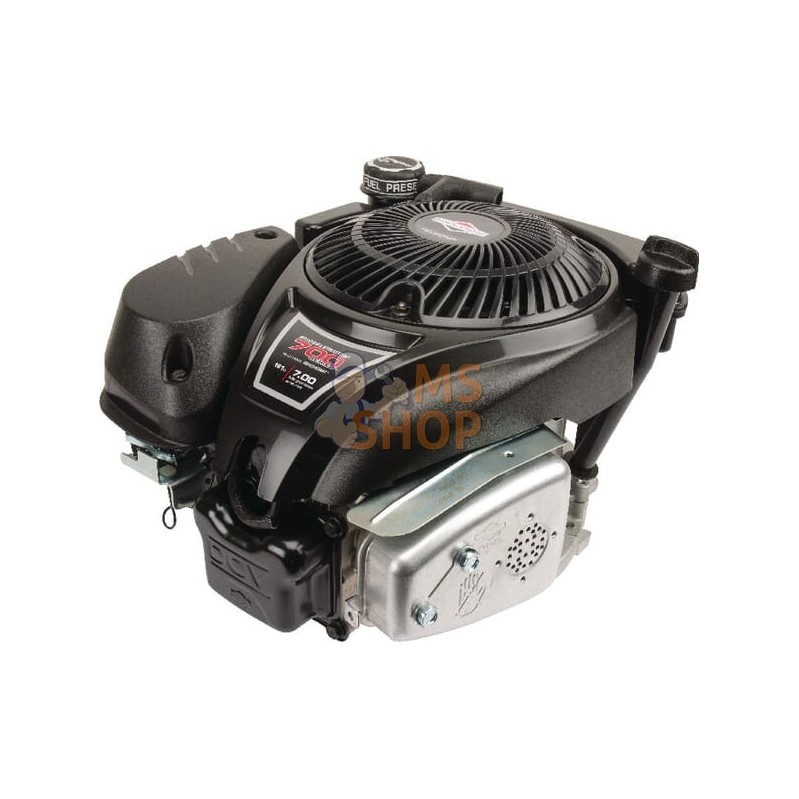 Moteur vertical, 5,0 HP, monocylindre, série 750 EX, Briggs & Stratton | BRIGGS & STRATTON Moteur vertical, 5,0 HP, monocylindre