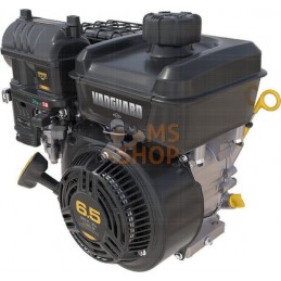 Moteur horizontal, 6,4 HP, monocylindre, série Vanguard, Briggs & Stratton | BRIGGS & STRATTON Moteur horizontal, 6,4 HP, monocy
