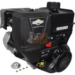 Moteur complet 8.9ch Briggs & Stratton | BRIGGS & STRATTON Moteur complet 8.9ch Briggs & Stratton | BRIGGS & STRATTONPR#211811