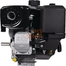 Moteur complet 8.9ch Briggs & Stratton | BRIGGS & STRATTON Moteur complet 8.9ch Briggs & Stratton | BRIGGS & STRATTONPR#211811