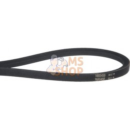 Courroie trapézoïdale | BRIGGS & STRATTON Courroie trapézoïdale | BRIGGS & STRATTONPR#666421