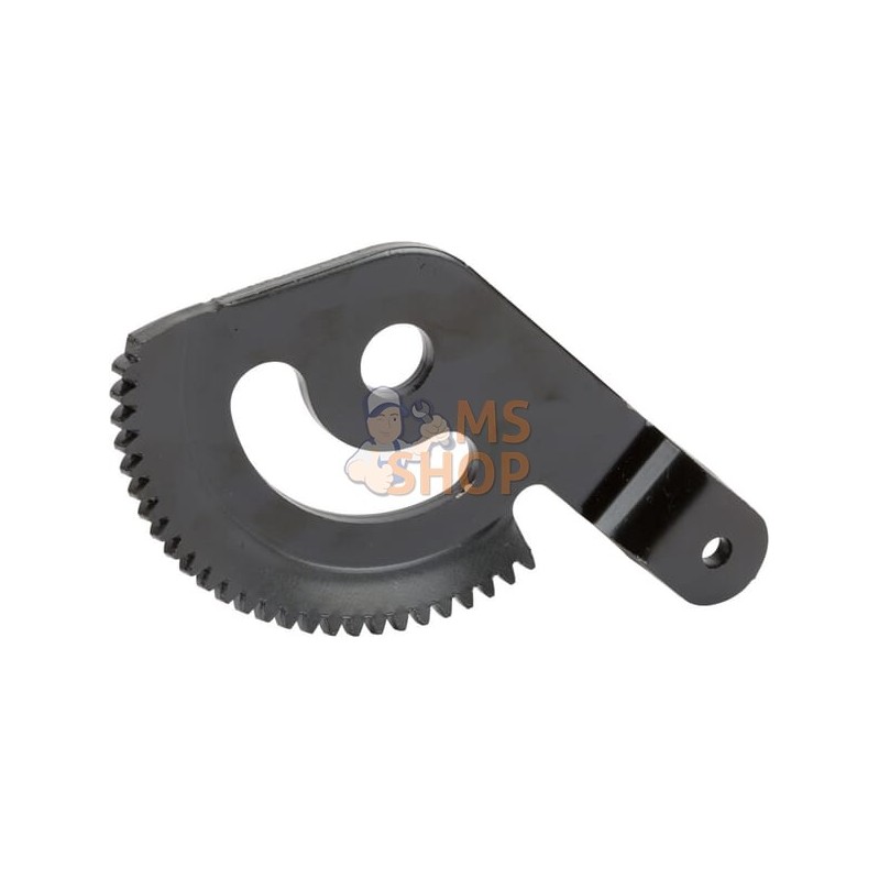 Engrenage | BRIGGS & STRATTON Engrenage | BRIGGS & STRATTONPR#530781 Engrenage | BRIGGS & STRATTON Engrenage | BRIGGS & STRATTONPR#530781