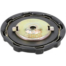 Bouchon de carburant | BRIGGS & STRATTON Bouchon de carburant | BRIGGS & STRATTONPR#397637