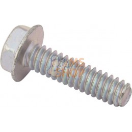 Vis 10-24 x 3/4 | BRIGGS & STRATTON Vis 10-24 x 3/4 | BRIGGS & STRATTONPR#667805