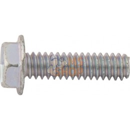 Vis 10-24 x 3/4 | BRIGGS & STRATTON Vis 10-24 x 3/4 | BRIGGS & STRATTONPR#667805