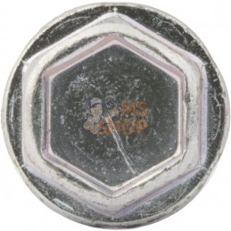 Vis 10-24 x 3/4 | BRIGGS & STRATTON Vis 10-24 x 3/4 | BRIGGS & STRATTONPR#667805