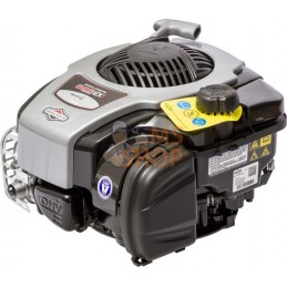 Moteur vertical, 4,4 HP, monocylindre, série 625E, Briggs & Stratton | BRIGGS & STRATTON Moteur vertical, 4,4 HP, monocylindre, 