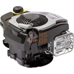 Moteur vertical, 4,4 HP, monocylindre, série 625E, Briggs & Stratton | BRIGGS & STRATTON Moteur vertical, 4,4 HP, monocylindre, 