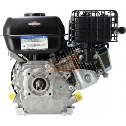 Moteur, horizontal | BRIGGS & STRATTON Moteur, horizontal | BRIGGS & STRATTONPR#1123317