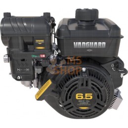 Moteur horizontal, 6,4 HP, monocylindre, série Vanguard, Briggs & Stratton | BRIGGS & STRATTON Moteur horizontal, 6,4 HP, monocy