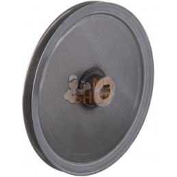 Poulie, 8,4 V4L.67Idhy | BRIGGS & STRATTON Poulie, 8,4 V4L.67Idhy | BRIGGS & STRATTONPR#333818