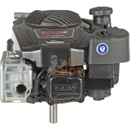 Moteur vertical, 5,9 HP, monocylindre, série 850E, Briggs & Stratton | BRIGGS & STRATTON Moteur vertical, 5,9 HP, monocylindre, 