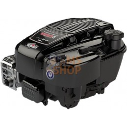 Moteur, vertical, 5,9 CV, série 850, Briggs &amp; Stratton | BRIGGS & STRATTON Moteur, vertical, 5,9 CV, série 850, Briggs &amp;