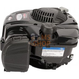 Moteur vertical, 4,4 HP, monocylindre, série 625E, Briggs & Stratton | BRIGGS & STRATTON Moteur vertical, 4,4 HP, monocylindre, 