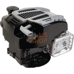 Moteur, vertical, 5,4 HP, 675  | BRIGGS & STRATTON Moteur, vertical, 5,4 HP, 675  | BRIGGS & STRATTONPR#1123322