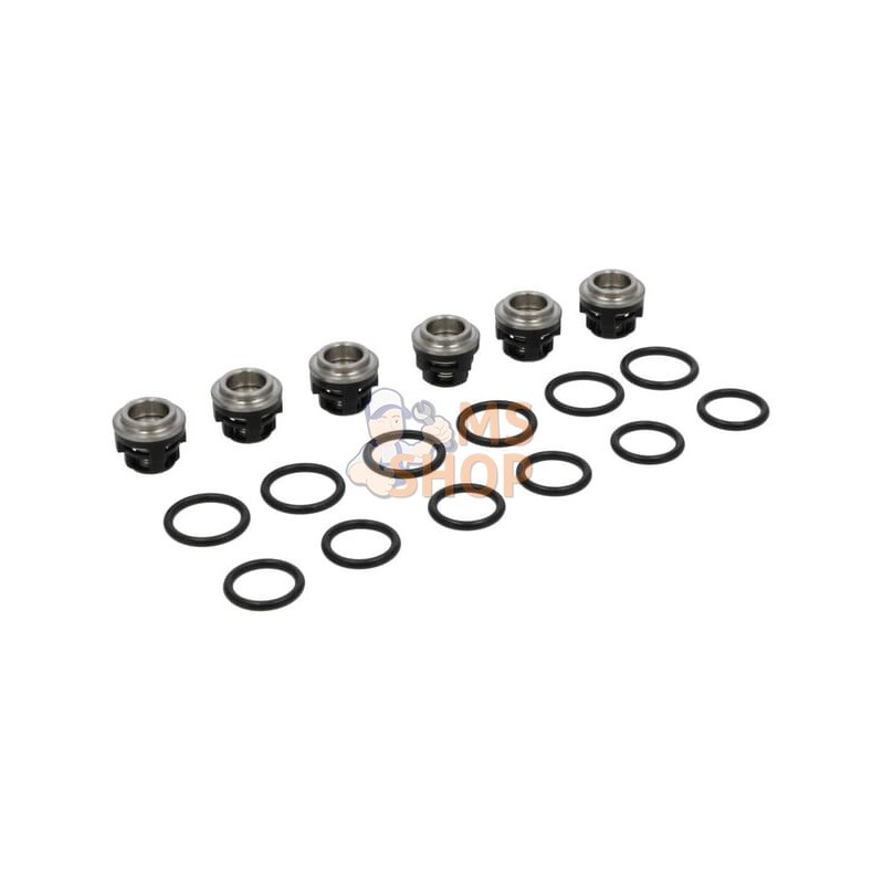 Kit clapet anti-retour | BRIGGS & STRATTON Kit clapet anti-retour | BRIGGS & STRATTONPR#405336