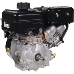 Moteur horizontal, 6,4 HP, 19,05 x 62 mm, clavette 6:1  monocylindre, série Vanguard, Briggs & Stratton | BRIGGS & STRATTON Mote