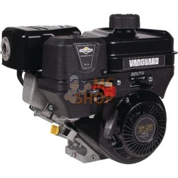 Moteur horizontal, 6,4 HP, 19,05 x 62 mm, clavette 6:1  monocylindre, série Vanguard, Briggs & Stratton | BRIGGS & STRATTON Mote