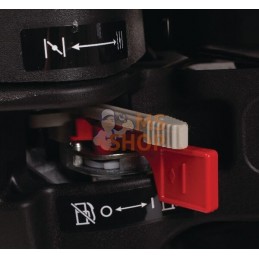 Moteur horizontal, 6,4 HP, 19,05 x 62 mm, clavette 6:1  monocylindre, série Vanguard, Briggs & Stratton | BRIGGS & STRATTON Mote