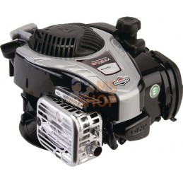 Moteur vertical, 3,9 HP, monocylindre, série 575EX, Briggs & Stratton | BRIGGS & STRATTON Moteur vertical, 3,9 HP, monocylindre,