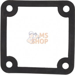 Joint de décharge | BRIGGS & STRATTON Joint de décharge | BRIGGS & STRATTONPR#397250